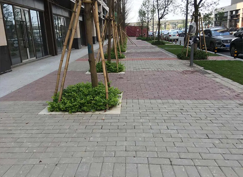 ��ɽĳС������ש����